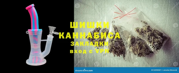 ПСИЛОЦИБИНОВЫЕ ГРИБЫ Белокуриха