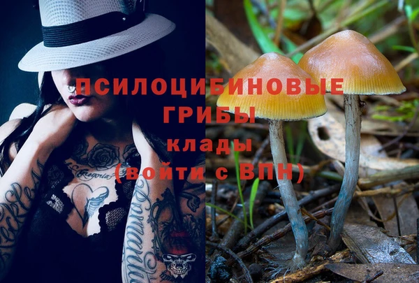 мескалин Заполярный