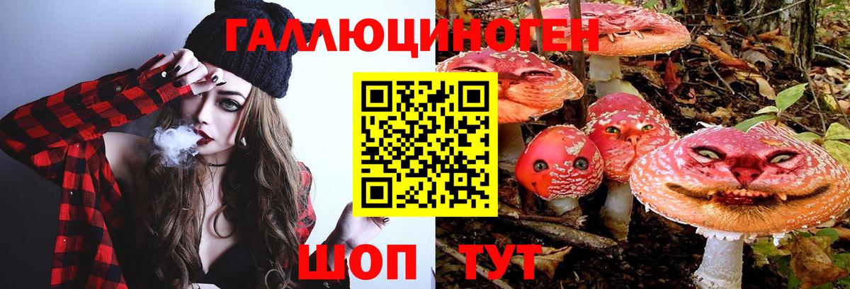 Псилоцибиновые грибы GOLDEN TEACHER Кстово