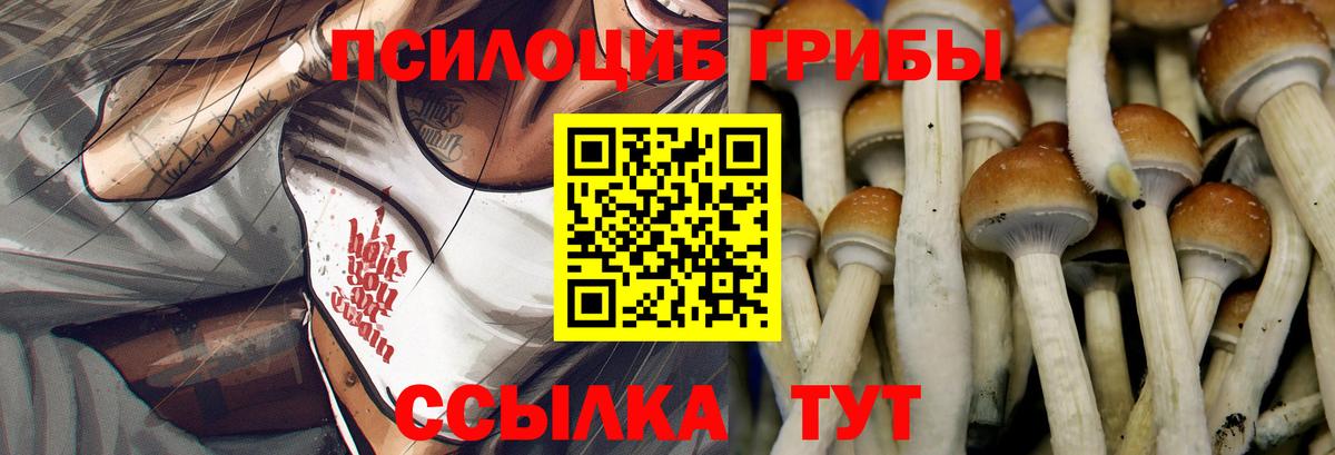 Кстово  Галлюциногенные грибы мицелий  Вход с VPN 